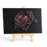 Ombre et matière : La rose
